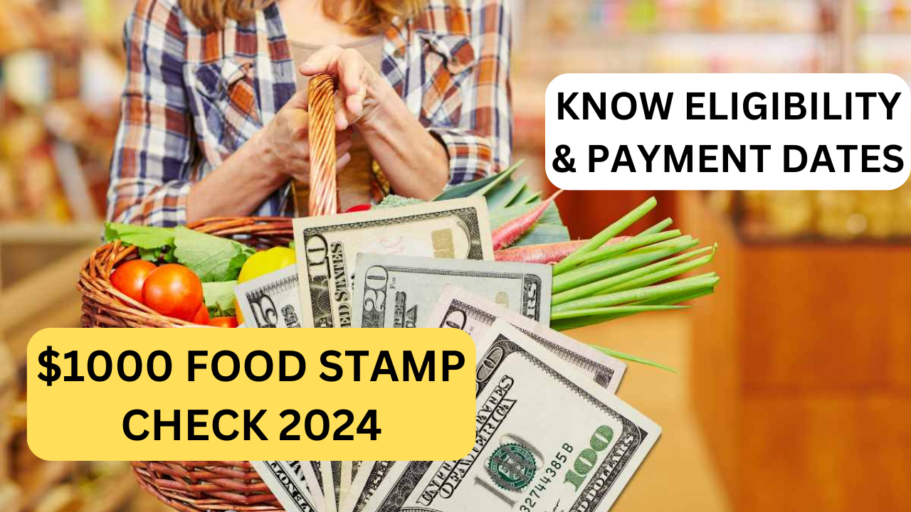 $1000 Food Stamp Check 2024